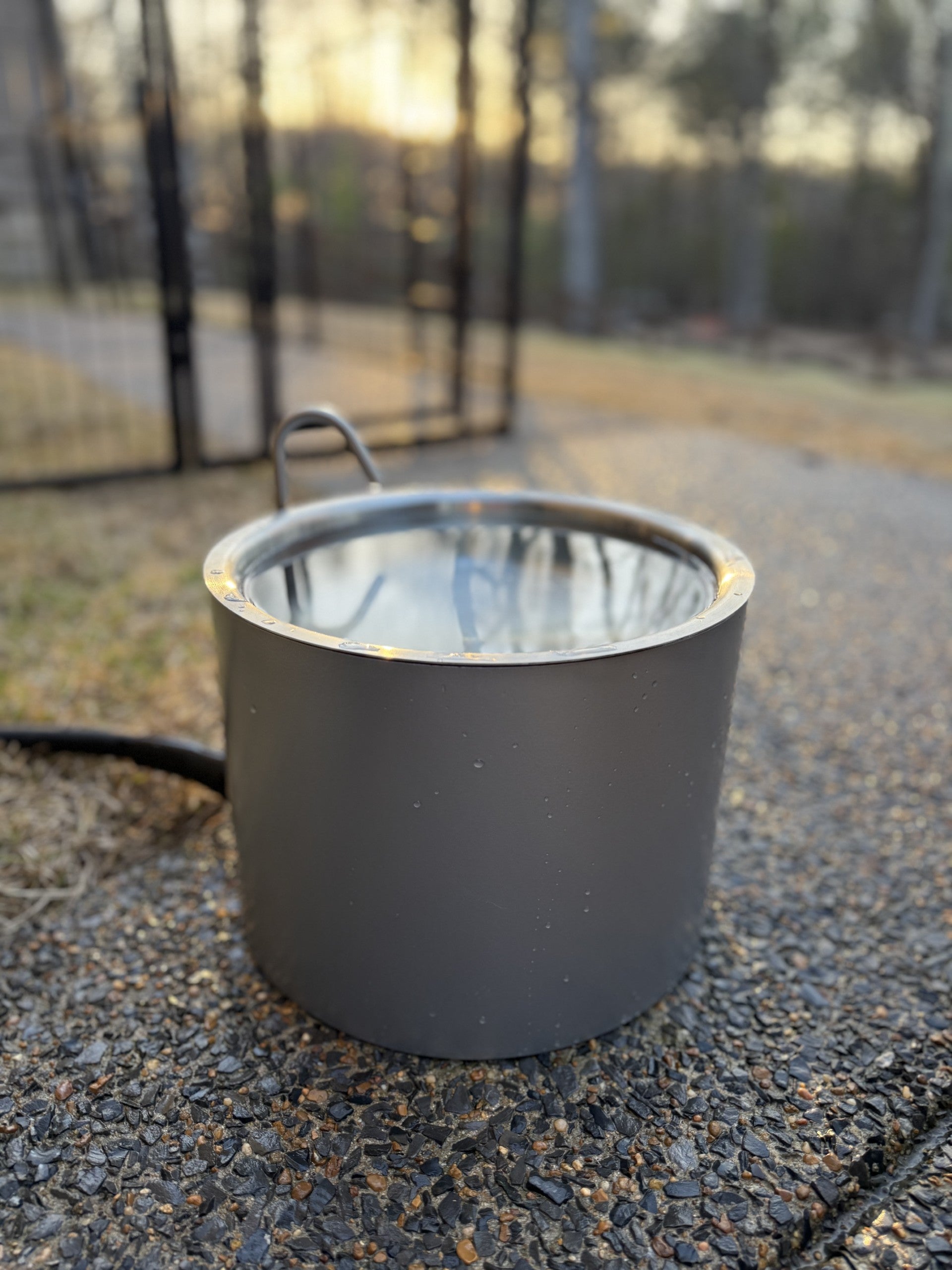 Autofill Pet Water Bowl